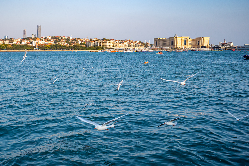 威海風(fēng)景視頻？關(guān)于威海的議論文素材