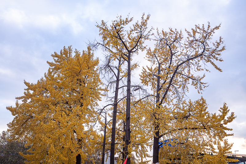 山東威海市簡(jiǎn)介，山東威海幾月份適合旅游