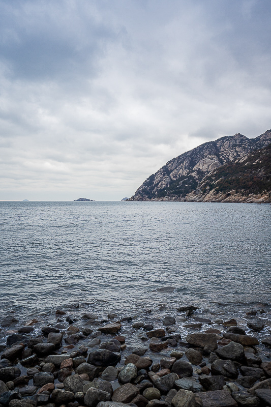 海鮮自助吃法攻略(海鮮自助海鮮是烤還是煮)