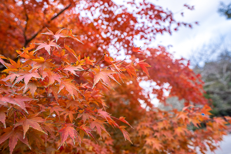 山東威海旅游公司地址及電話 威海凱悅旅行公司網(wǎng)頁