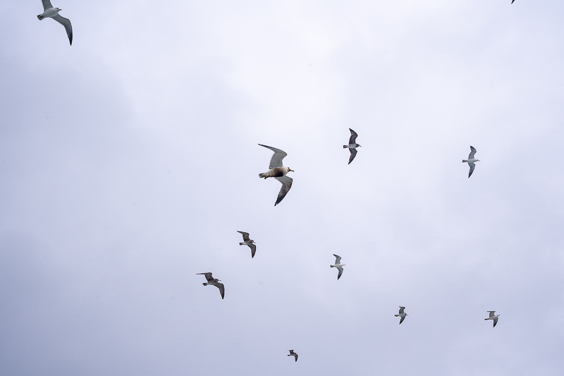 威海城市形象宣傳語(威海旅游景點有哪些)