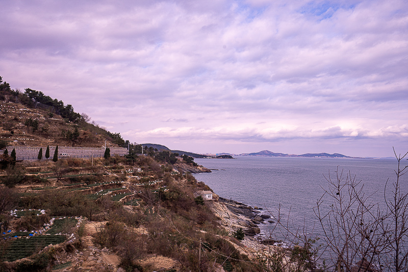 高速費(fèi)沒有交怎么處理 威海到大連的船票多少錢