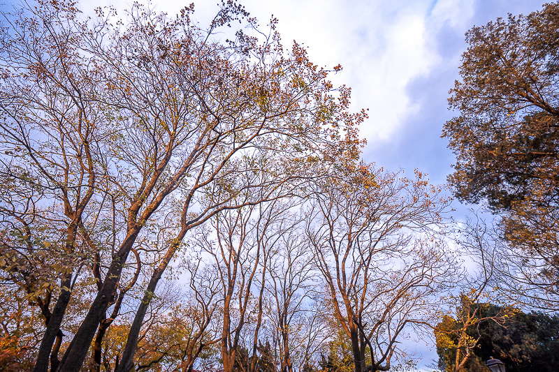 去威海旅游行李箱裝什么(威海行李寄存的地方嗎)