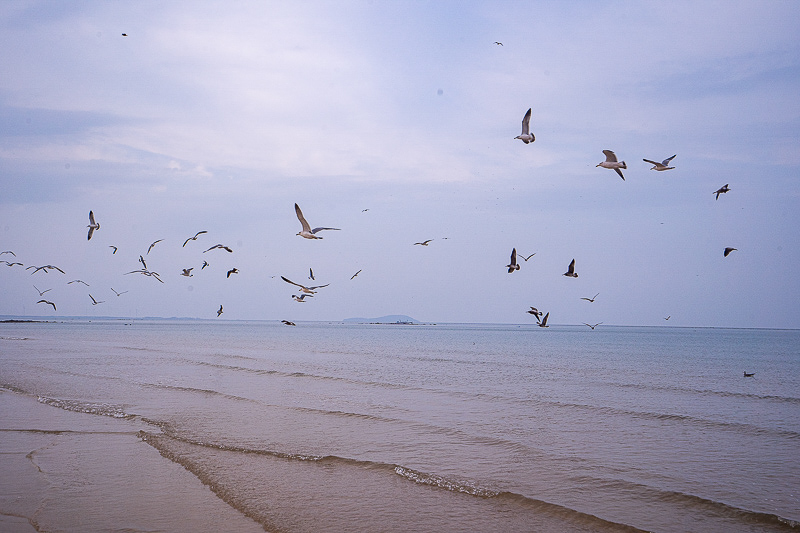 國內旅游景點推薦？威?？粗嗅t(yī)哪里比較好
