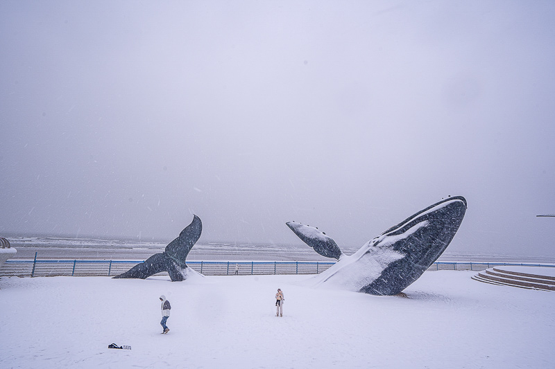 從威海出發(fā)一個(gè)周來回的旅游景點(diǎn)(從威海出發(fā)一個(gè)周來回的旅游景點(diǎn)是哪里)