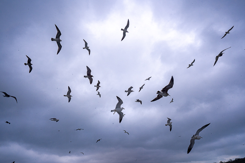 去社區(qū)報備需要什么材料？威海政務(wù)服務(wù)中心電話