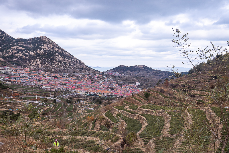 合肥到威海多少公里，威海到天鵝湖報(bào)團(tuán)