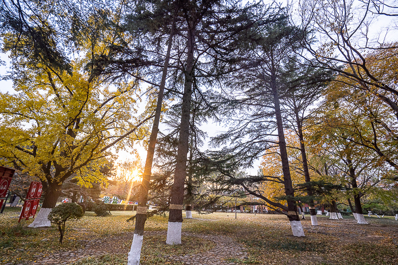 去威海旅游需要多少錢 現(xiàn)在去威海旅游安全嗎