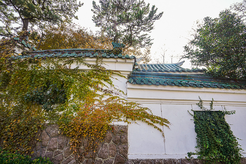 威海 旅游 日照青島煙臺威海游游順序