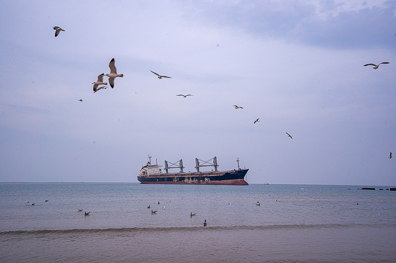 買魚竿去哪個(gè)網(wǎng)站？山東威海魚竿批發(fā)市場(chǎng)