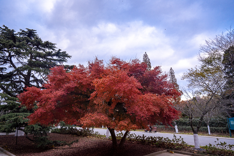 1月份適合旅游的城市 威海適合幾月份去