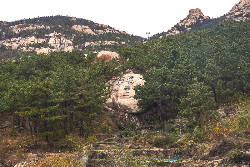 從大連到威海怎么走最方便(威海有去大連的船嗎)