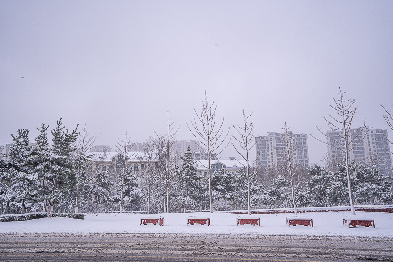 麗江旅游住宿推薦(去威海旅游住哪里比較好)