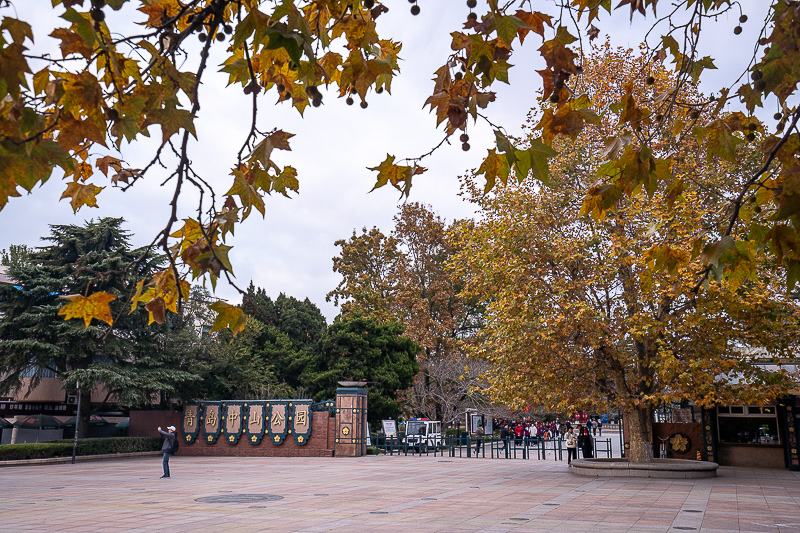 從威海到青島旅游坐車到哪里(威海到青島怎么走方便)
