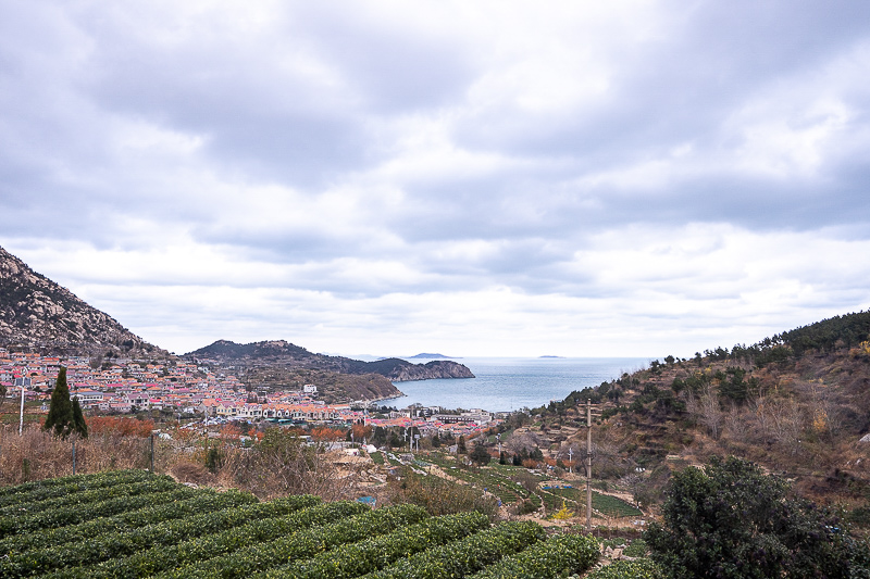 蘭州威海旅游團報價表查詢，蘭州威海旅游團報價表查詢最新