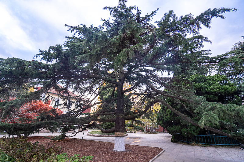 7天核酸檢測排除多少 威海市哪里可以做核酸檢測