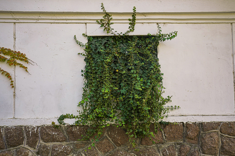 從上海到威海高鐵旅游線路 從上海到威海高鐵旅游線路攻略