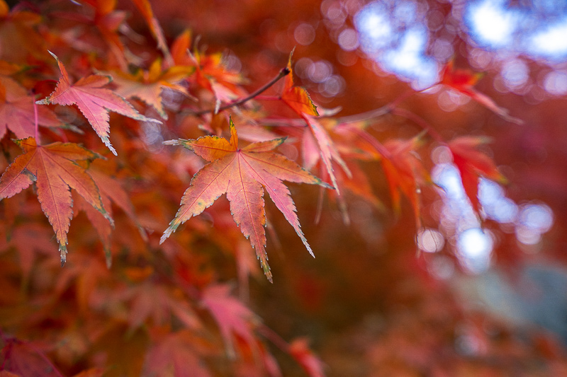 一年到威海旅游人數(shù)多少 威海2020年旅游的人多嗎