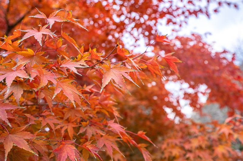 威海包車拼車群微信(威海包車拼車群微信二維碼)