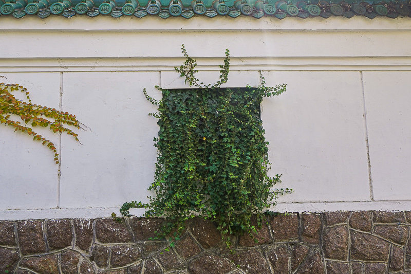 煙臺高鐵西站到威海(從煙臺到威海怎么走)