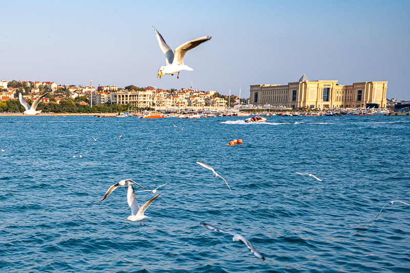 廈門迪士尼巡游在幾點？旅游巴士怎么樣