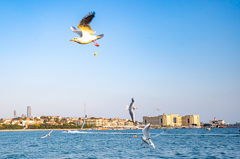 廈門(mén)露營(yíng)最佳地點(diǎn)？上海 帳篷