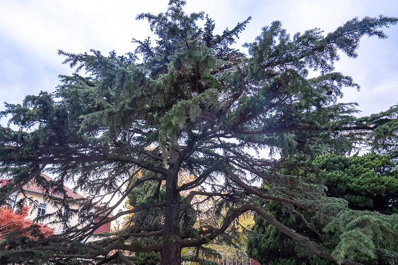 龍海包車廈門多少錢，龍海石碼到廈門杏林高速費多少錢