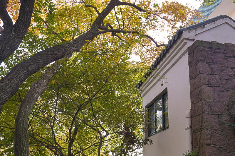 漳州到廈門私家車包車？漳州到廈門包車電話