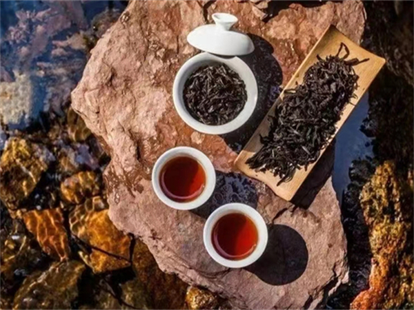 廈門公交車殯葬包車 廈門殯葬服務(wù)公司