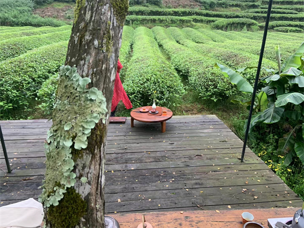 福建古鎮(zhèn)有多少土樓啊？福建古鎮(zhèn)有多少土樓啊視頻