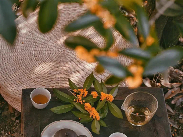 福建土樓永定門票(福建土樓永定景區(qū)門票價格)