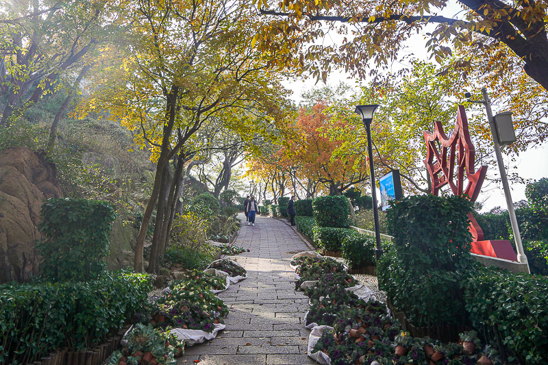 江蘇南靖有多少土樓(南靖土樓有哪些土樓)