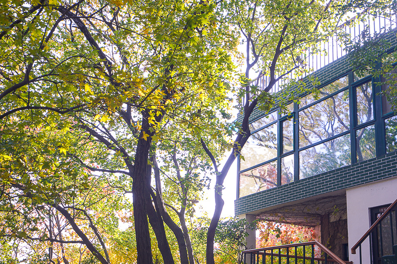 永定土樓晚上能住宿嗎，永定土樓住宿攻略