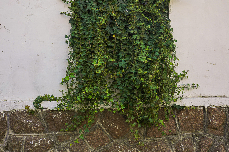 二宜樓土樓多少平方(二宜樓土樓旅游攻略)