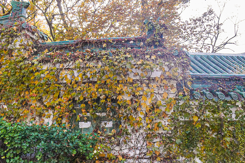大埔土樓有哪些寺廟住宿(廣東大埔最大的寺廟)
