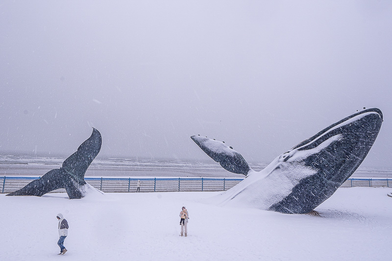 永定土樓住宿哪里最好玩 永定土樓住宿(體驗傳統(tǒng)客家文化的獨特住宿方式)
