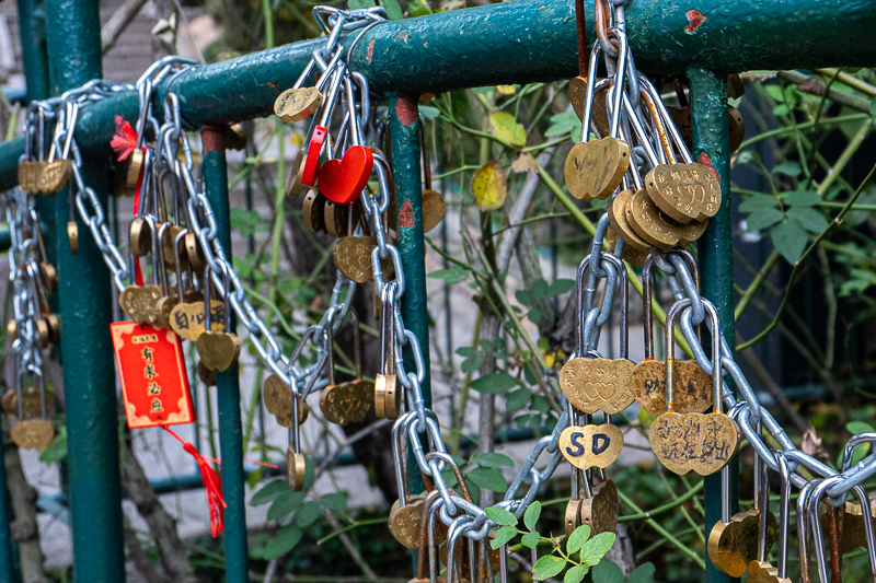 西安自助游(西安結(jié)算公司屬于什么)