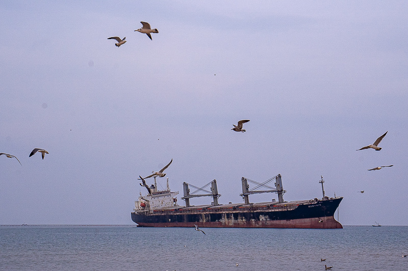 西安私人導(dǎo)游哪里找？西安導(dǎo)游梁導(dǎo)演是誰