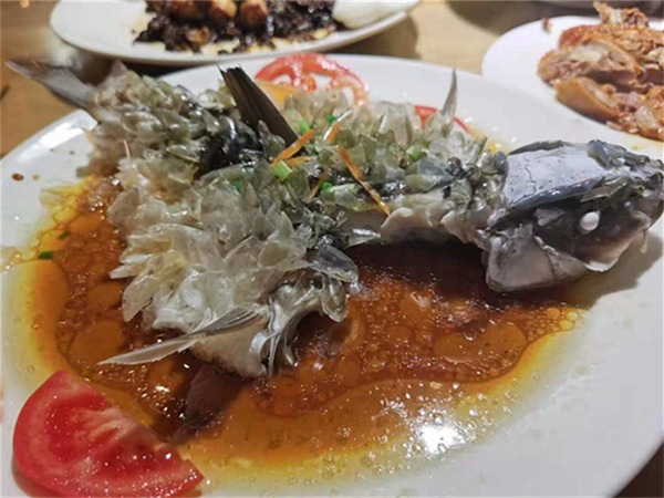 西安導(dǎo)游扶蘇(西安旅游攻略)