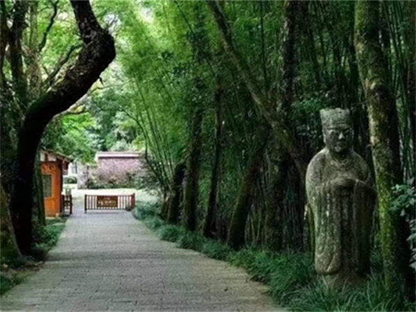 西安外語導(dǎo)游需求大嗎(西安的導(dǎo)游證怎么考需要什么條件有身高要求嗎)