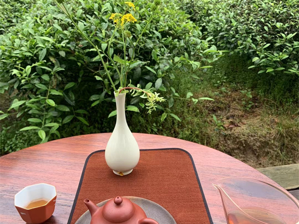 西安地陪導(dǎo)游？西安導(dǎo)游鐵蛋可以約嗎