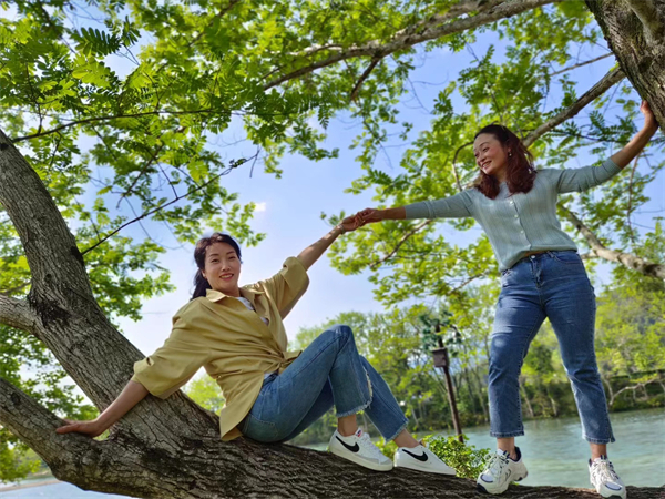 西安城墻年卡，西安城墻內(nèi)景點
