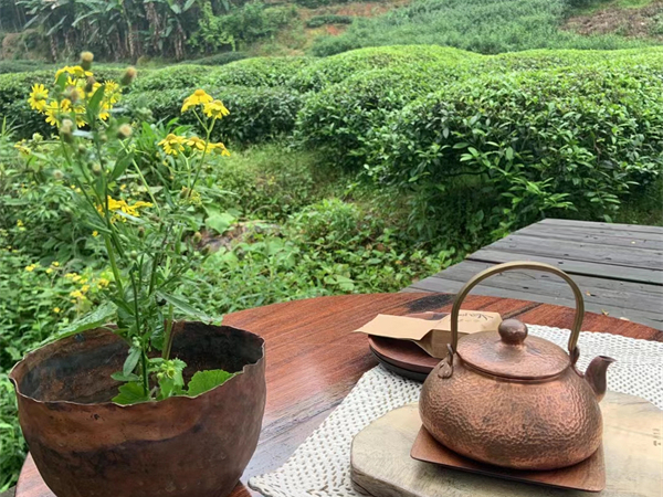 西安城墻內(nèi)景點(diǎn)，西安自由行導(dǎo)游