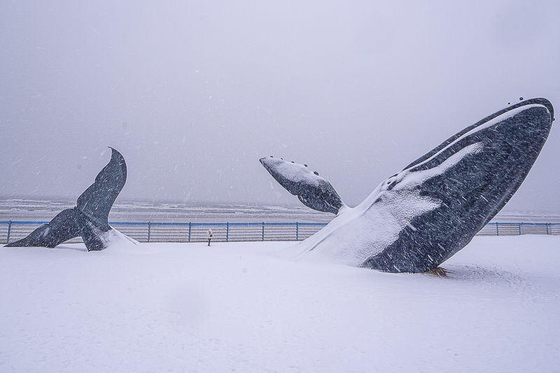 兵馬俑門票有淡季嗎(兵馬俑淡季是什么時候)