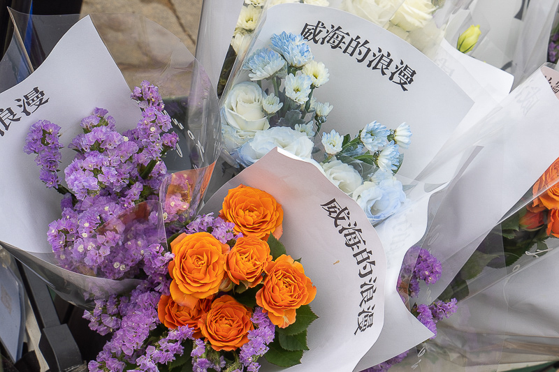 兵馬俑11月12日門票(兵馬俑開放時(shí)間及門票)