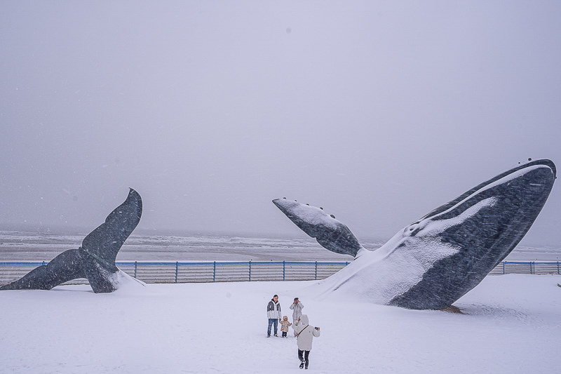 兵馬俑門票簡筆畫教程(兵馬俑門票120包含哪些景點(diǎn)) 兵馬俑門票簡筆畫教程(兵馬俑門票120包含哪些景點(diǎn))