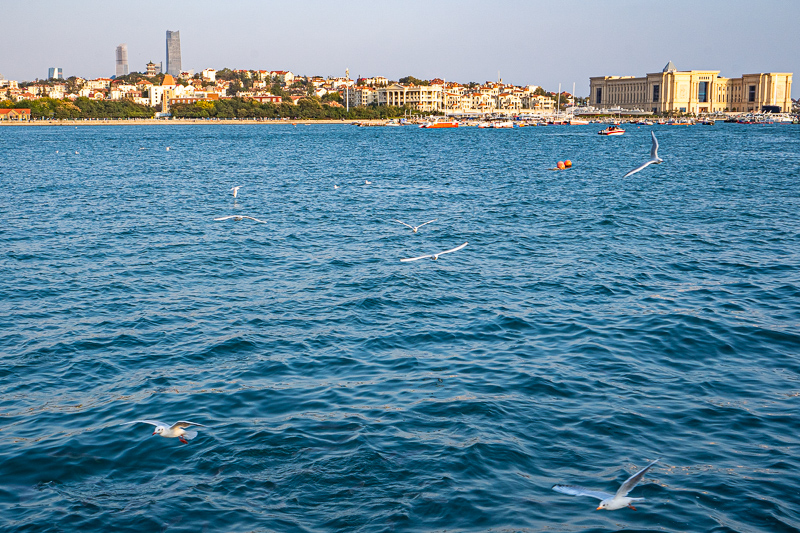 青島美食攻略 青島旅游現(xiàn)在可以去嗎