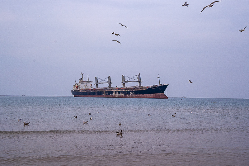 日照青島旅游一日游(青島日照一日游多少錢)