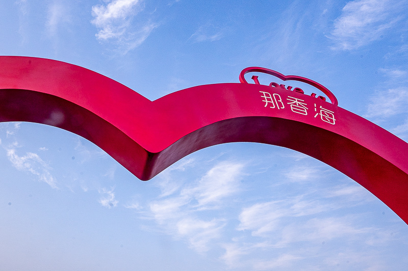 我的導(dǎo)游是明星青島