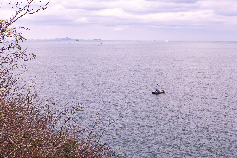 青島撈海鮮攻略一日游最新消息，青島撈海鮮攻略一日游最新消息視頻